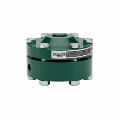 NOSHOK 30-04S-S-R-02S-1F