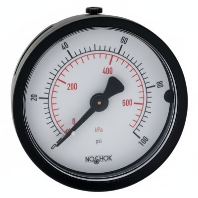 NOSHOK 30-02S-S-V-04C-2F