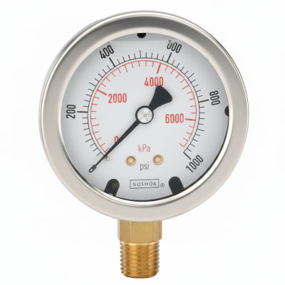 NOSHOK 60-800-3000-PSI-SSFF-BT8
