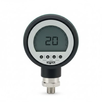 NOSHOK PGE20-1500PSIG-1-2-RCP