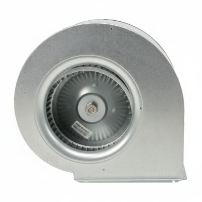 RHEEM 70-101729-12