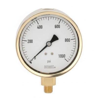 NOSHOK 25-300-30-VAC-SGO