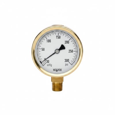 NOSHOK 25-300-30-VAC-BFF-BT8
