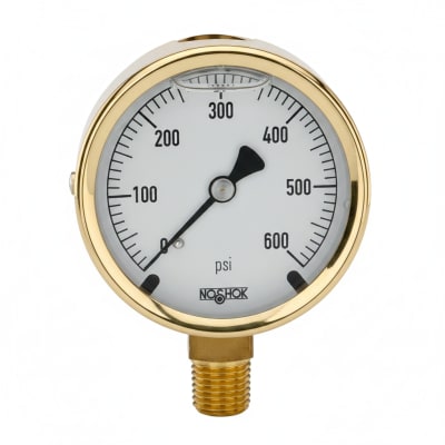 NOSHOK 25-300-30-VAC-SGO-GY40