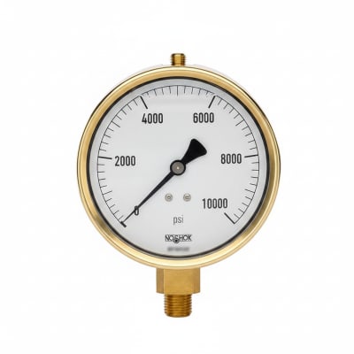 NOSHOK 40-300-2000-PSI/KG/CM2-BFF