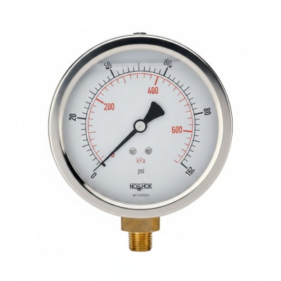 NOSHOK 40-410-600-PSI-MIP-SSRF
