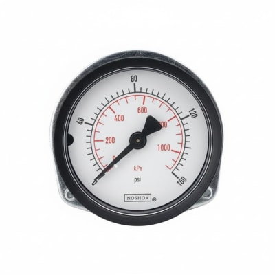 NOSHOK 15-110-30-PSI/BAR-SSB-BP3