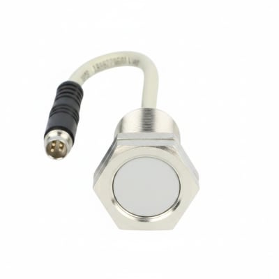 BAUMER ELECTRIC 10123770