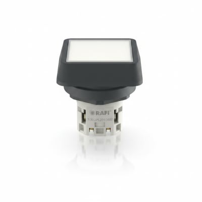 RAFI 1.30.275.221/0600