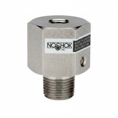 NOSHOK 10-02C-S-T-06C-2F-P