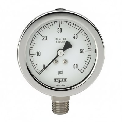 NOSHOK 10-02C-S-V-06C-2F-P