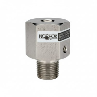 NOSHOK 10-02S-V-T-06C-2F-P