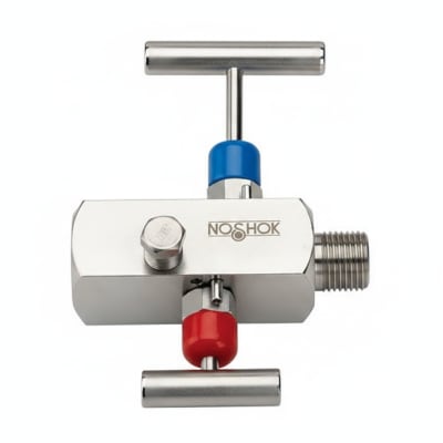 NOSHOK 10-04C-S-B-06C-2F