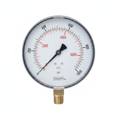 NOSHOK 10-04C-T-V-06S-2F