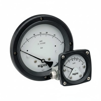 NOSHOK 10-04C-V-V-06C-2F-P
