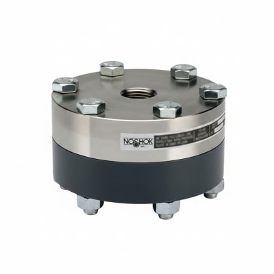 NOSHOK 10-04S-V-T-06S-2F