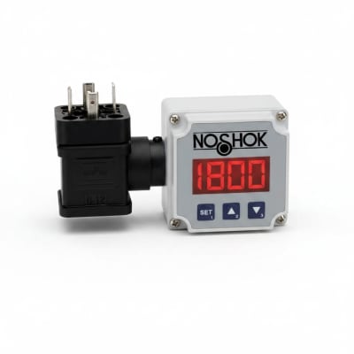 NOSHOK 30-02C-S-R-08C-1F-P