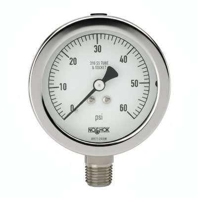 NOSHOK 25-310-30/60-PSI/BAR-MIP-BFF