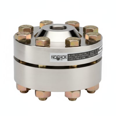 NOSHOK 30-04S-S-T-08C-1F-P