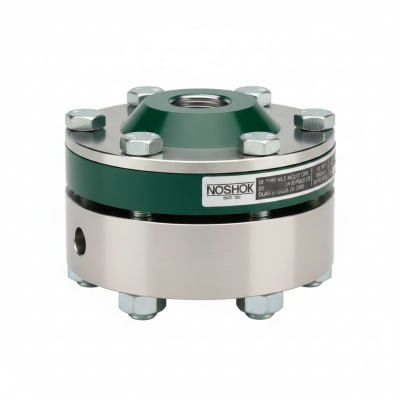 NOSHOK 30-02S-S-R-08S-2F