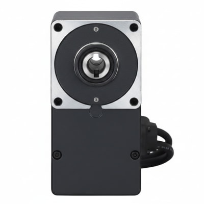 ORIENTAL MOTOR BLFM230-A