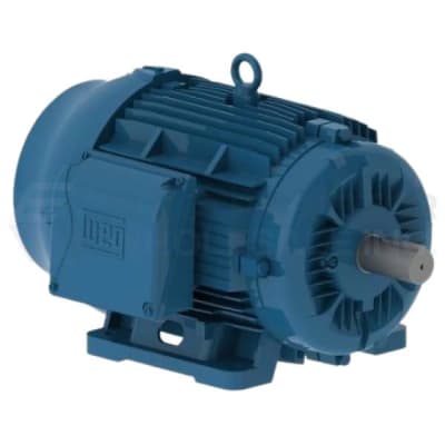 WEG 02036ET3E256T-W22G