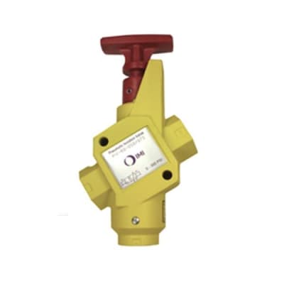 BIMBA PIV-21-025/038