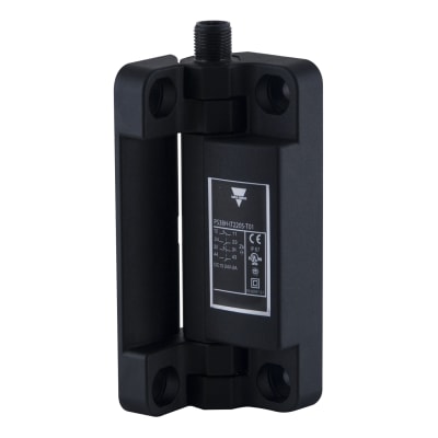 CARLO GAVAZZI PS38H-IT1305-T01