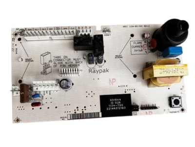RAYPAK 601944