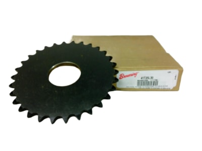 REGAL REXNORD 41T25L30