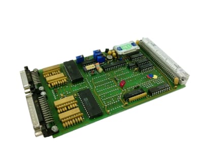 MOLAND 203133-502