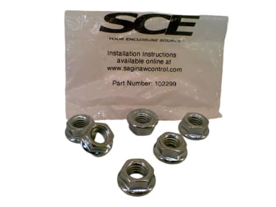 SAGINAW 102299