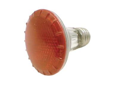 GLOBE ELECTRIC 05428