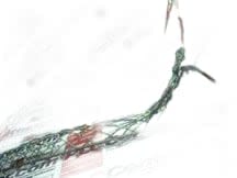 HUBBELL 02203006