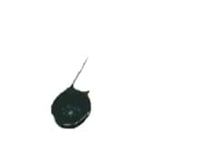 PHILIPS ECG-524V15
