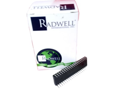 ATMEL AT89S8253-24PU