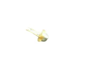 LASER COMPONENTS 2008369