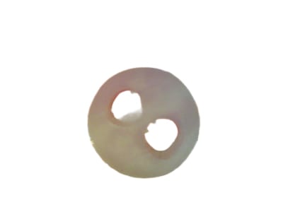 LAPP USA 53616260
