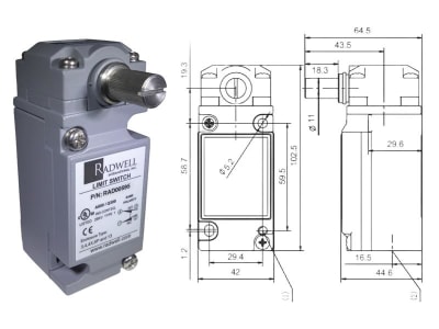 RADWELL RAD00595