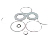 WATTS 10SSK-02-RK