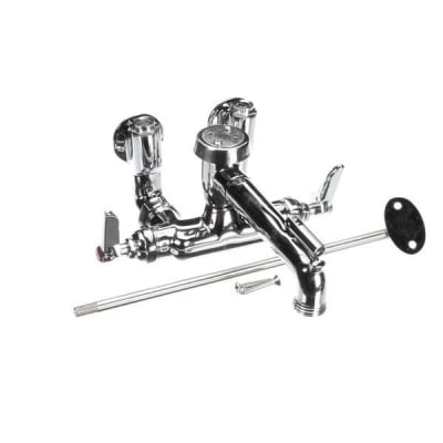 T&S BRASS B-0667-POL