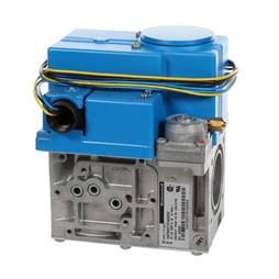 AO SMITH WATER HEATERS 100074231