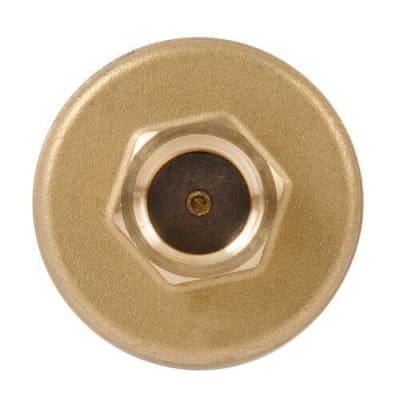 XYLEM 113246