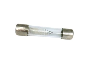 LITTELFUSE 313.001