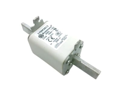 EATON CORPORATION 170M3813