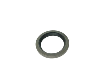 SKF 11061