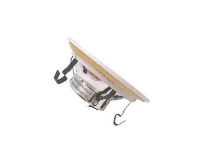 ELITE LIGHTING B1402-CL-WH