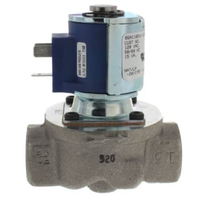 BASO GAS PRODUCTS LLC BGA110EHJ-1CAAC