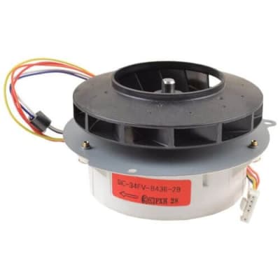 RHEEM RTG20006CC