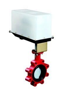 JOHNSON CONTROLS VWN060LB2924GGA